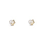 Leafy Heart Gold Necklace with Diamond Accents – Nature-Inspired Pendant (1/52858)
