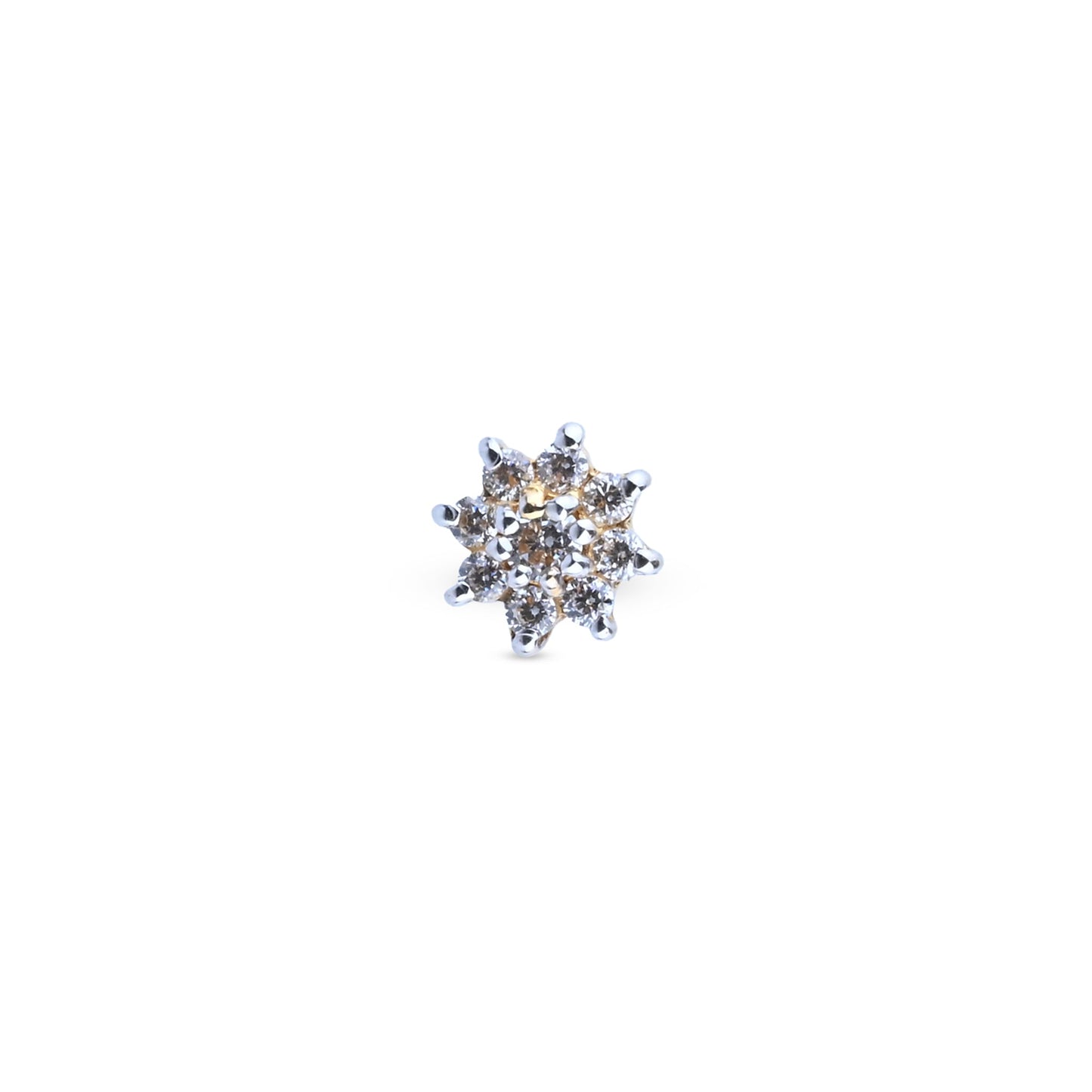 nosepins-1-56125