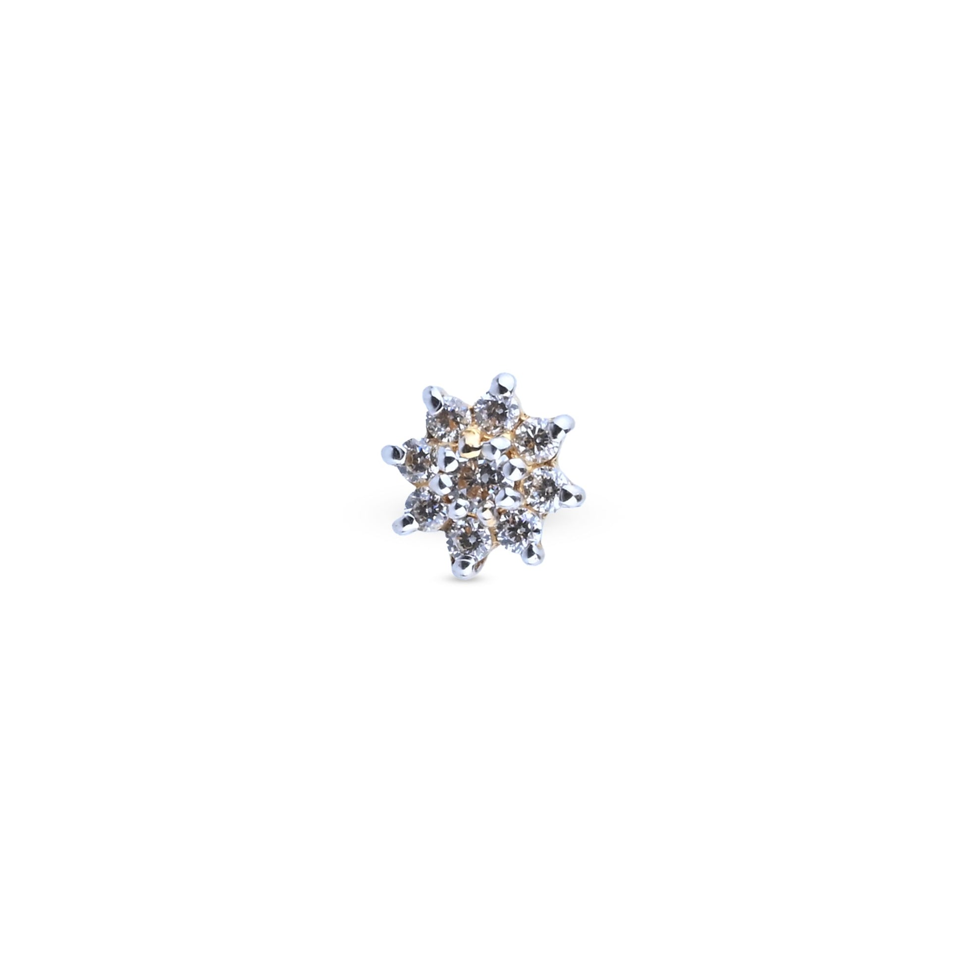 nosepins-1-56125